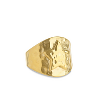 Load image into Gallery viewer, Yrsa Star Ring Stainless Steel

