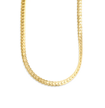 Load image into Gallery viewer, Cornelia Chain Necklace Stainless Steel
