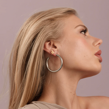 Load image into Gallery viewer, Fee Fish Stud Earrings Stainless Steel
