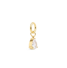 Load image into Gallery viewer, Wren Crystal Charm Stainless Steel
