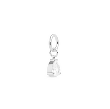 Load image into Gallery viewer, Wren Crystal Charm Stainless Steel
