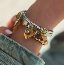 Load image into Gallery viewer, Roya Dog Charm Stainless Steel
