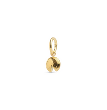 Load image into Gallery viewer, Minoo Cookie Charm Stainless Steel
