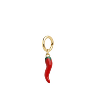 Load image into Gallery viewer, Eala Red Chili Charm Stainless Steel
