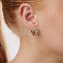 Load image into Gallery viewer, Harlowe Shell Earrings Stainless Steel
