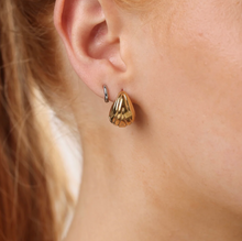 Load image into Gallery viewer, Harlowe Shell Earrings Stainless Steel
