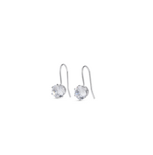 Load image into Gallery viewer, Chelsie Crystal Earrings Stainless Steel
