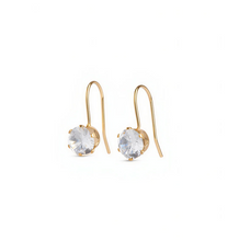 Load image into Gallery viewer, Chelsie Crystal Earrings Stainless Steel

