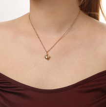 Load image into Gallery viewer, Clea Crab Necklace Stainless Steel
