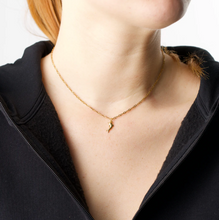 Load image into Gallery viewer, Eilora Dolphin Necklace Stainless Steel
