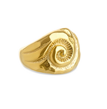 Load image into Gallery viewer, Ursula Shell Ring Stainless Steel
