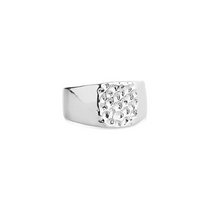 Load image into Gallery viewer, Blythe Signet Ring Stainless Steel
