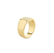 Load image into Gallery viewer, Blythe Signet Ring Stainless Steel
