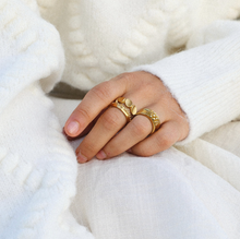 Load image into Gallery viewer, Gulli Organic Ring Stainless Steel
