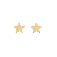 Load image into Gallery viewer, New Star Earrings
