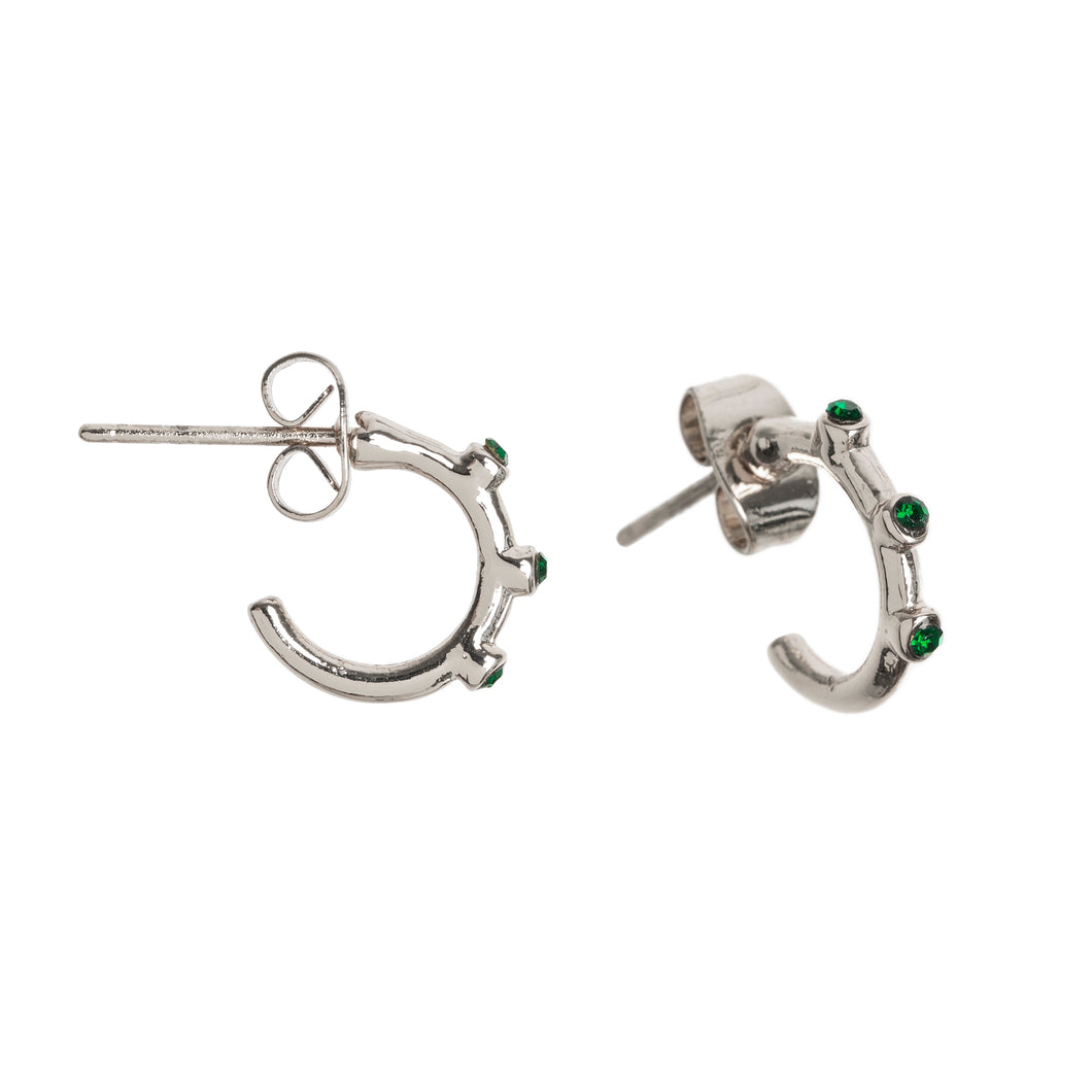 Hoop Earrings with Stones