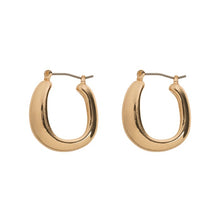 Load image into Gallery viewer, Chunky Oval Hoop Earrings
