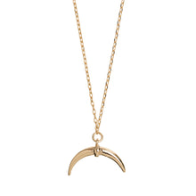 Load image into Gallery viewer, Horn Necklace
