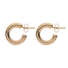 Load image into Gallery viewer, Classic Hoop Earrings
