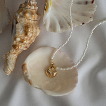 Load image into Gallery viewer, White Beads with Mermaid Shell Necklace
