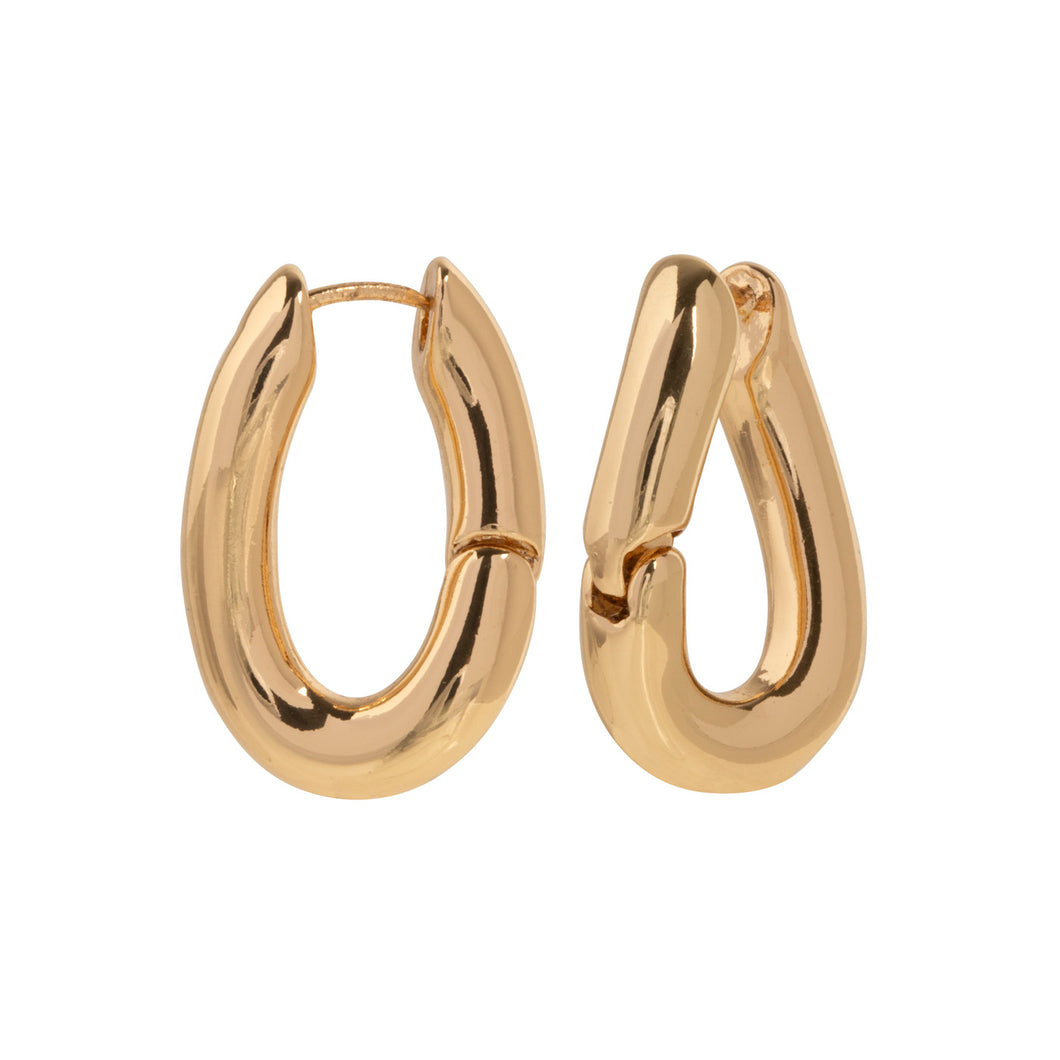 Irregular Curvy Hoop Earrings