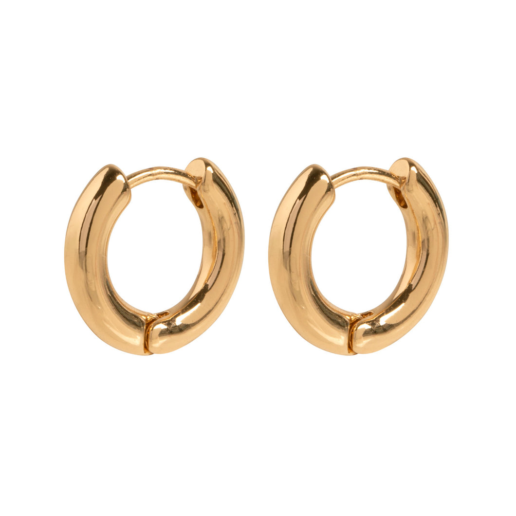 Basic Medium Hoop Earrings